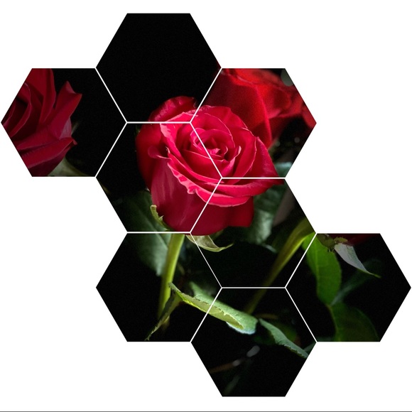 Meet your Posher, Nerissa - Picture 1 of 1